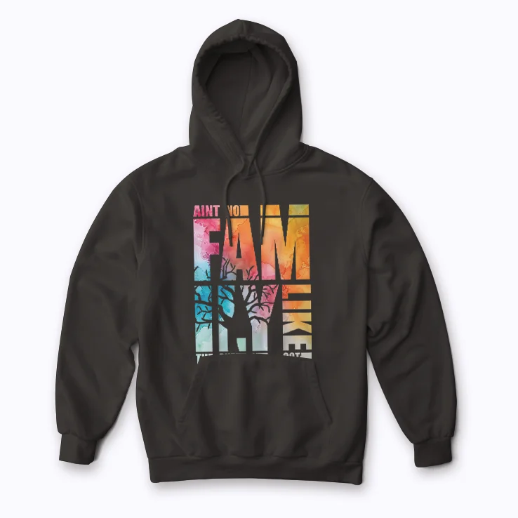Family Reunion Aint No Family Like Mine Gift Hoodie