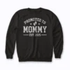 Mom Est 2025 New Mom Baby Announcement Gift Sweatshirt